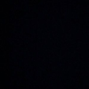 Meet your Posher, Taryn